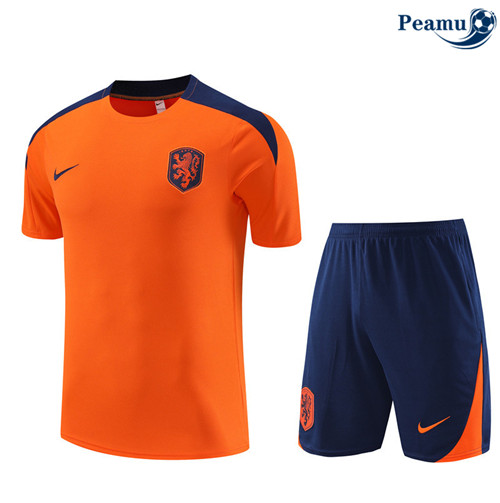 Loja Camisola Kit Equipamento Training Países Bajos + Calcoes color naranja 2024