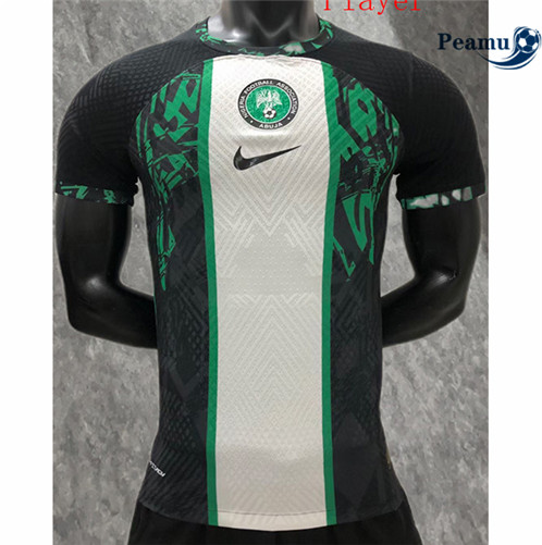 Camisola Futebol Nigeria Player Version Verde 2022-2023 pt228659