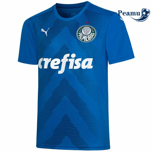 Camisola Futebol Palmeiras Equipamento Goleiro 2 Azul 2022-2023 pt229112
