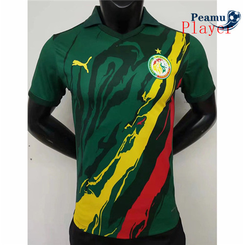 Camisola Futebol Senegal Player Version commemorative 2022-2023 pt228681