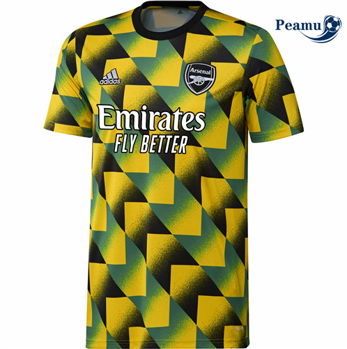 Novas Camisola Futebol Arsenal Equipamento avant match Verde Amarelo 2022-2023 online