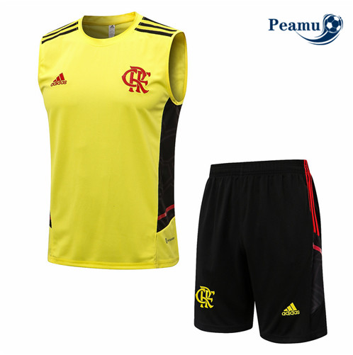 Comprar Camisola Kit Equipamento Training foot Flamengo Colete + Pantalon Amarelo 2022-2023 baratas