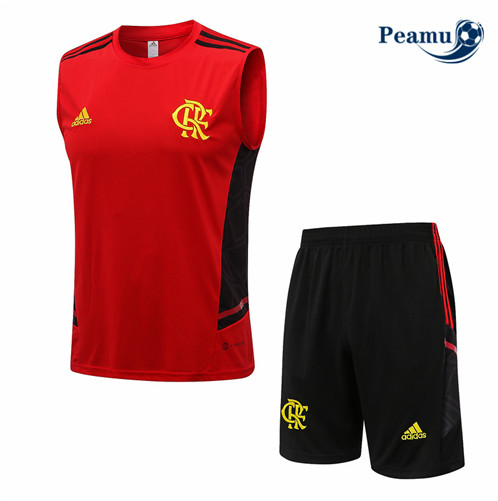Novas Camisola Kit Equipamento Training foot Flamengo Colete + Pantalon Rouge 2022-2023 personalizadas
