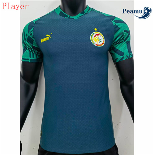Novas Camisola Futebol Senegal Player Version Equipamento pre-match Training 2022-2023 online