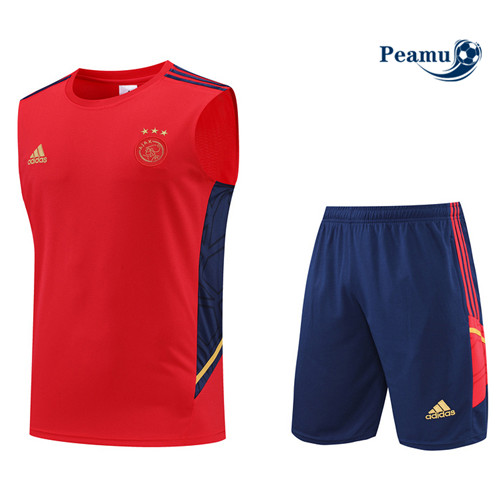 Vender Camisola Kit Entrainement foot Ajax Colete + Pantalon Rojo/Azul Profundo 2022-2023 t208 baratas | peamu.pt