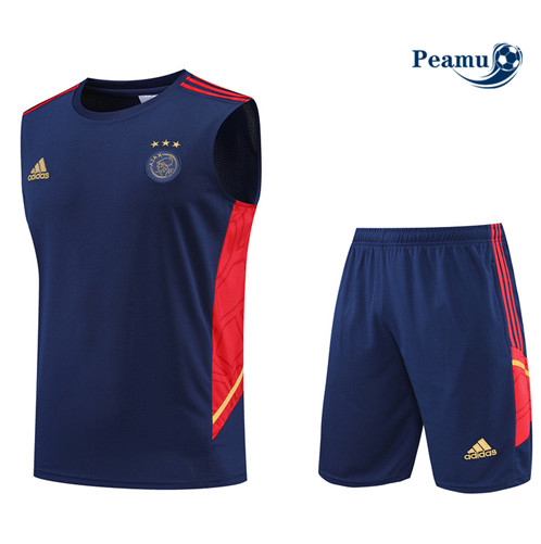 Comprar Camisola Kit Entrainement foot Ajax Colete + Pantalon Azul Profundo 2022-2023 t209 baratas | peamu.pt