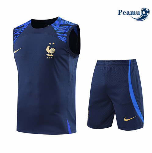 Comprar Camisola Kit Entrainement foot Francia Colete + Pantalon Azul Profundo 2022-2023 t269 baratas | peamu.pt