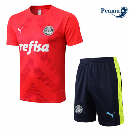 Vender Camisola Kit Entrainement foot Palmeiras + Pantalon Rojo/Azul Profundo 2022-2023 t360 baratas | peamu.pt