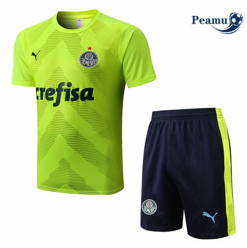Comprar Camisola Kit Entrainement foot Palmeiras + Pantalon Verde/Azul Profundo 2022-2023 t361 baratas | peamu.pt