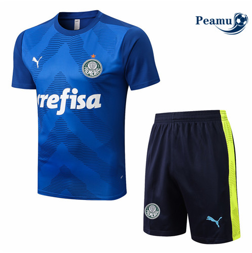 Vender Camisola Kit Entrainement foot Palmeiras + Pantalon Azul 2022-2023 t362 baratas | peamu.pt