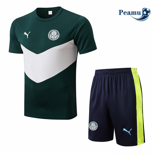Comprar Camisola Kit Entrainement foot Palmeiras + Pantalon Verde 2022-2023 t363 baratas | peamu.pt