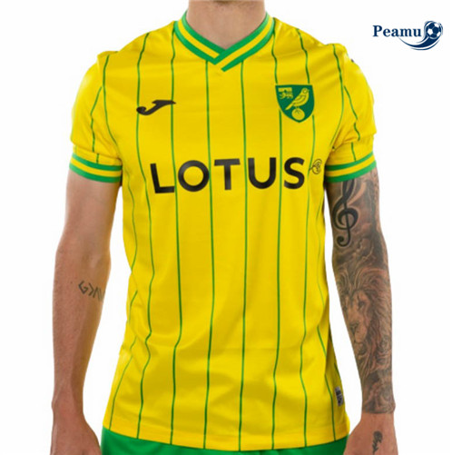 Comprar Camisolas de futebol Norwich City Principal Equipamento 2022-2023 t1029 baratas | peamu.pt