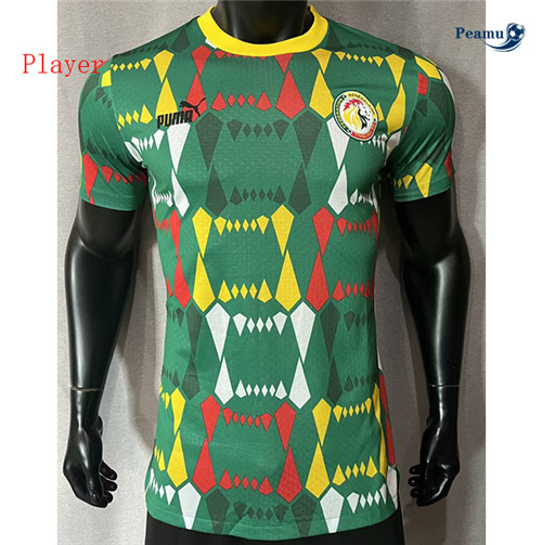 Camisola Futebol Senegal Player Version Equipamento Verde 2023-2024