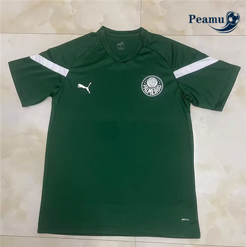 Peamu: Comprar Camisola Futebol Palmeiras Equipamento Training Verde 2023-2024