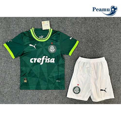Camisola Futebol Palmeiras Criança Equipamento Verde 2023-2024 Pt20059