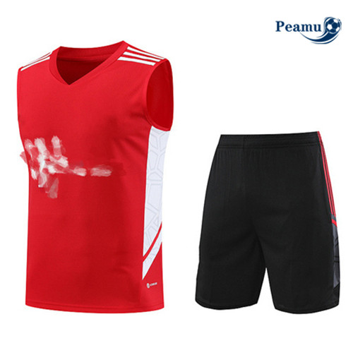Comprar Camisola Kit Equipamento Training Bayern de Munique Colete + Shorts Vermelho 2023-2024