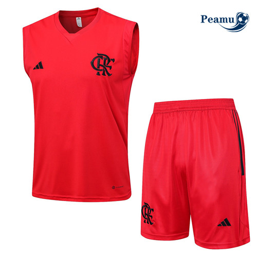 Procurar Camisola Kit Equipamento Training Flamengo Colete + Shorts 2023-2024