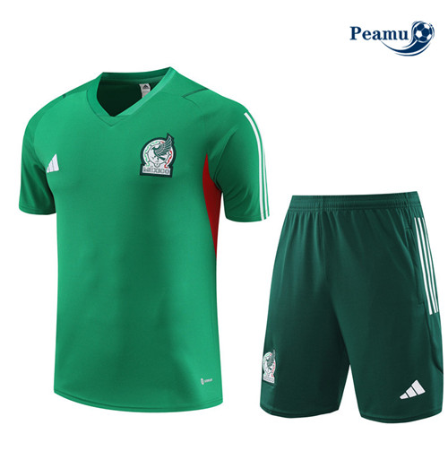 Procurar Camisola Kit Equipamento Training Mexico Criancas + Shorts Verde 2023-2024