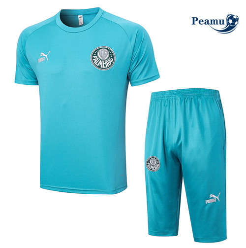 Réplicas Camisola Kit Equipamento Training Palmeiras + Short 3/4 + Pantalon Azul 2023-2024