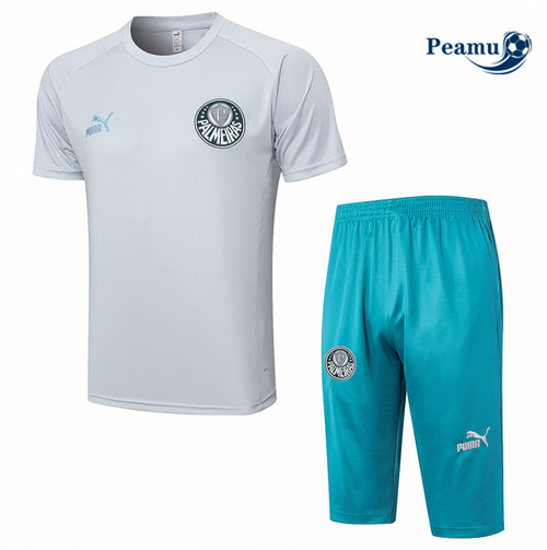 tomada Camisola Kit Equipamento Training Palmeiras + Short 3/4 + Pantalon Cinza 2023-2024