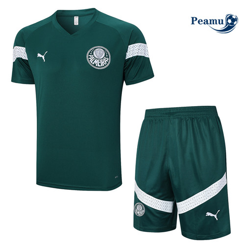 Cria Camisola Kit Equipamento Training Palmeiras + Shorts Verde 2023-2024