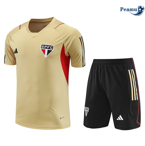 Réplicas Camisola Kit Equipamento Training Sao Paulo + Shorts Amarelo 2023-2024