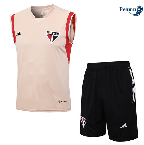 Projeto Camisola Kit Equipamento Training Sao Paulo Colete + Shorts Rosa 2023-2024