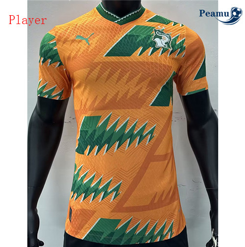 Loja Camisola Futebol Costa do Marfim Player Version Equipamento Edição especial 2023-2024