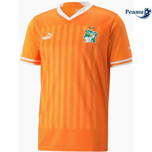 Camisola Futebol Costa do Marfim Principal 2022-2023 pt228596