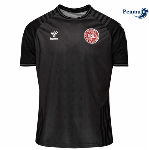 Camisola Futebol Dinamarca Goleiro Equipamento Edição especial 2022-2023 pt228600