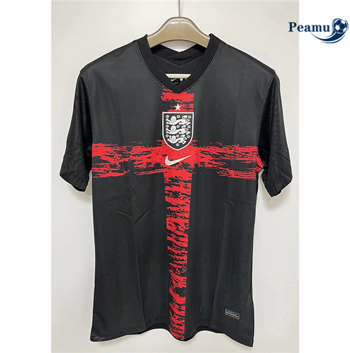 Camisola Futebol Inglaterra Equipamento Equipamento 2022-2023 pt228637