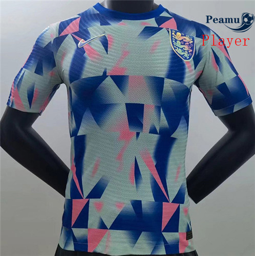 Camisola Futebol Inglaterra Player Version Equipamento Equipamento 2022-2023 pt228639