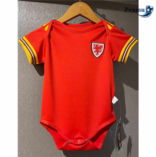 Camisola Futebol País de Gales baby Principal 2022-2023 pt228297