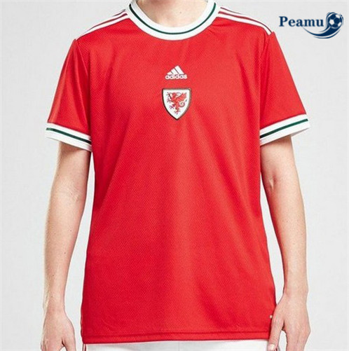 Camisola Futebol País de Gales Femme Equipamento 2022-2023 pt229175