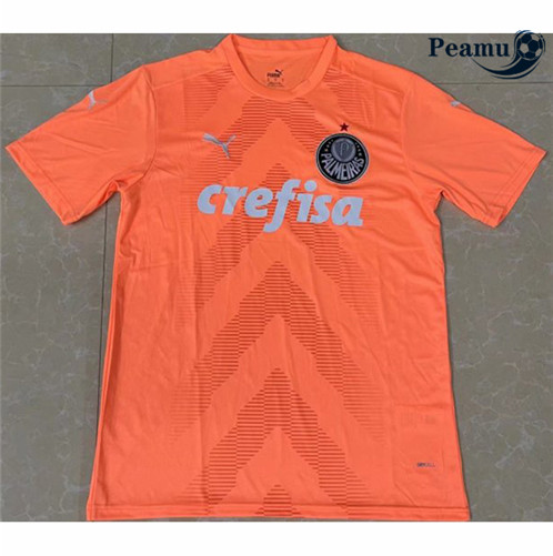 Camisola Futebol Palmeiras Goleiro Laranja 2022-2023 pt229111