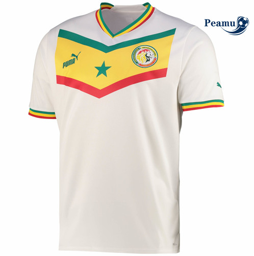 Camisola Futebol Senegal Principal Equipamento 2022-2023 pt228678