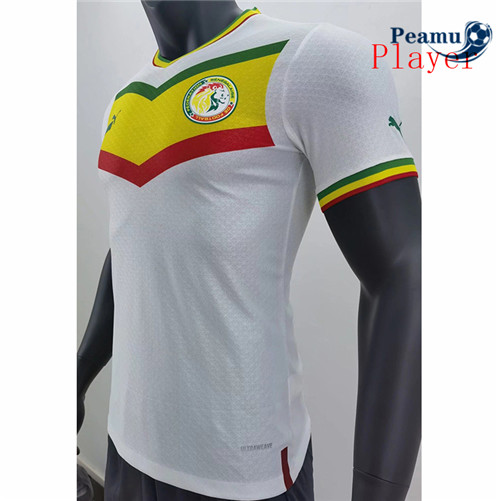 Camisola Futebol Senegal Player Version Principal 2022-2023 pt228682