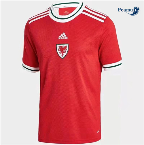 Peamu - Camisola Futebol Pays de Galles Principal Equipamento 2022-2023
