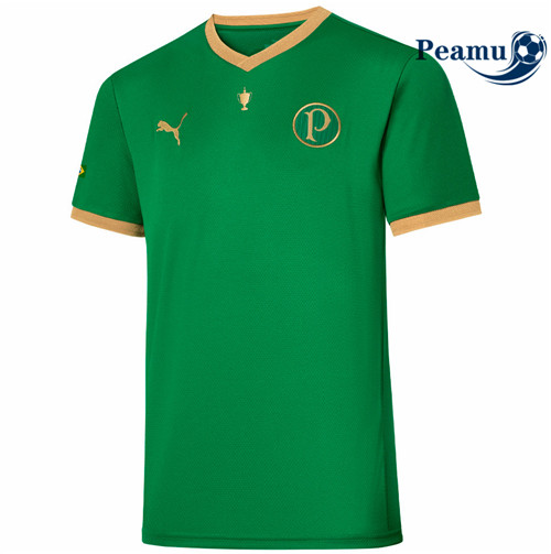 Camisola Futebol Palmeiras Special 2021-2022