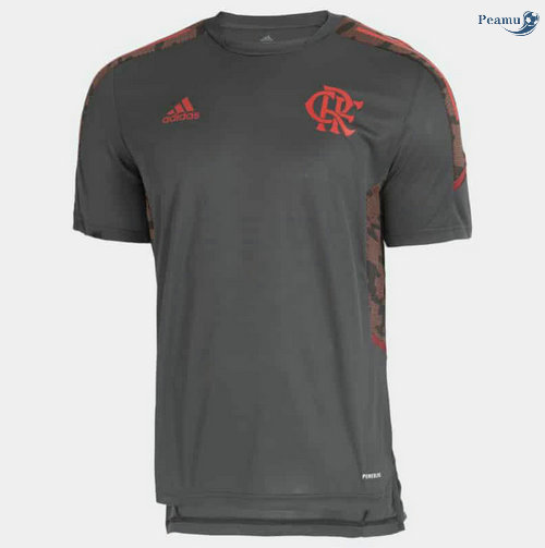 Peamu - Camisola Futebol Flamengo Treino Cinza 2021-2022