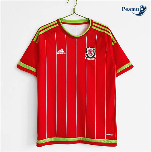 Camisola Futebol Retro Wales Principal Equipamento 2015