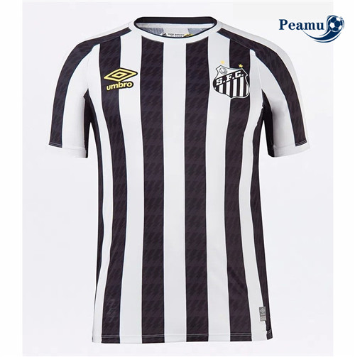 Camisola Futebol Santos Alternativa Equipamento 2021-2022