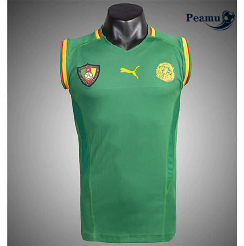 Camisola Futebol Camarões vest 2021-2022