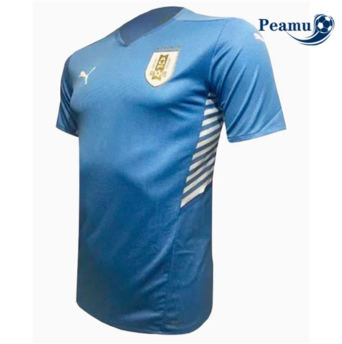 Camisola Futebol Uruguai Principal Equipamento 2021-2022