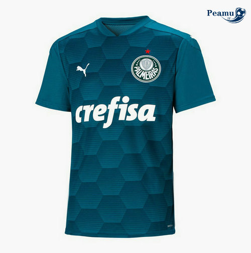 Camisola Futebol Palmeiras Alternativa Equipamento Portiere Verde 2020-2021