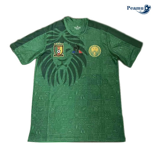 Camisola Futebol Camarões Principal Equipamento Verde Pretoatre 2019-2020