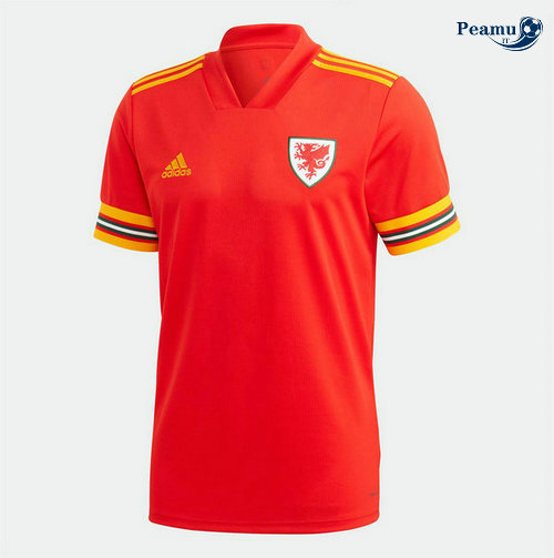 Camisola Futebol Pays de Galles Principal Equipamento UEFA Euro 2020-2021