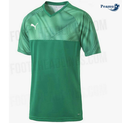 Camisola Futebol Morocco Alternativa Equipamento 2019-2020