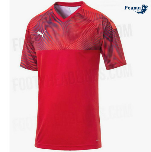 Camisola Futebol Morocco Principal Equipamento 2019-2020