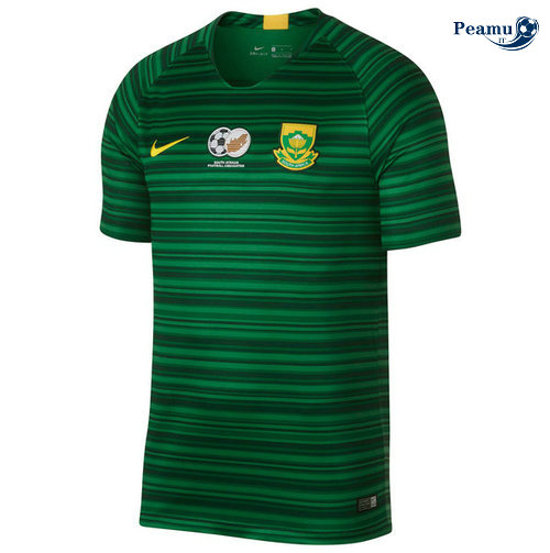 Camisola Futebol africa do Sul Alternativa Equipamento UEFA Euro 2020-2021